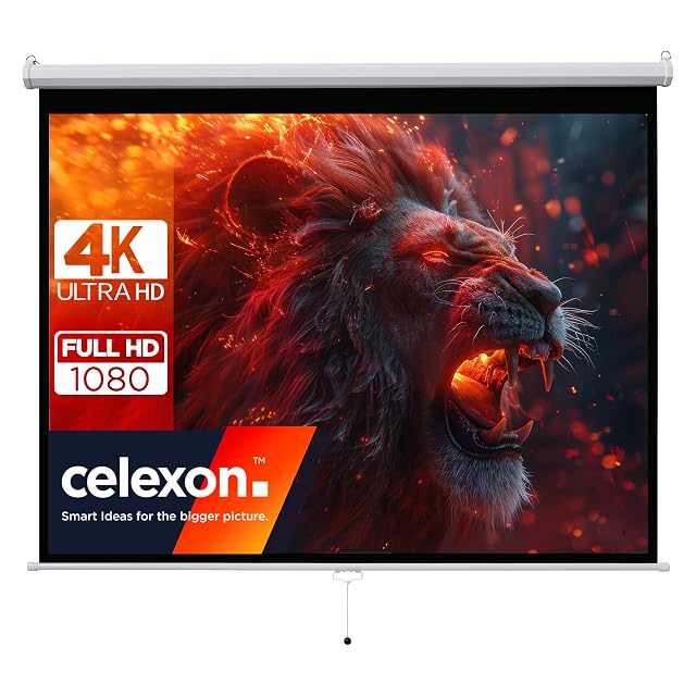 celexon Basic pull-down projection screen