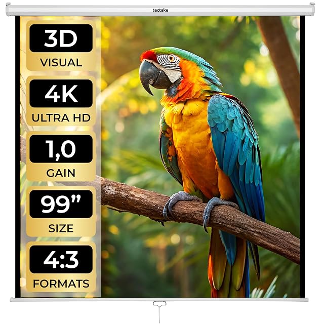tectake pull-down projection screen for ceiling or wall mounting